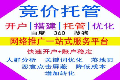 谷歌竞价广告的投放策略与成功案例分析